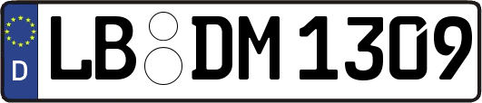 LB-DM1309