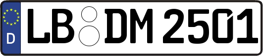 LB-DM2501