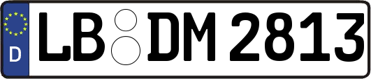 LB-DM2813