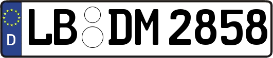 LB-DM2858