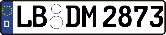 LB-DM2873