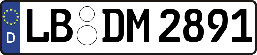 LB-DM2891