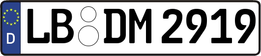 LB-DM2919