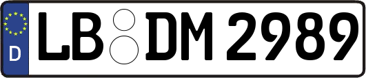 LB-DM2989