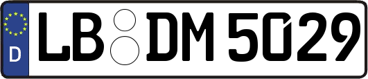 LB-DM5029