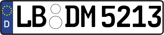 LB-DM5213