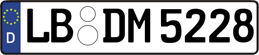 LB-DM5228