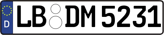 LB-DM5231