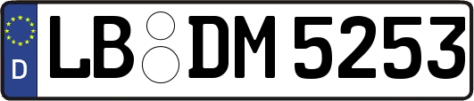 LB-DM5253