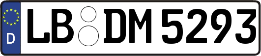 LB-DM5293