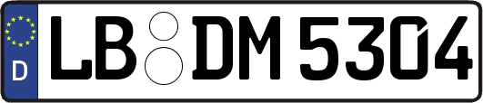 LB-DM5304