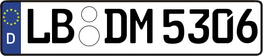 LB-DM5306