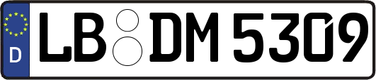 LB-DM5309