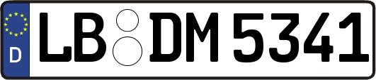 LB-DM5341