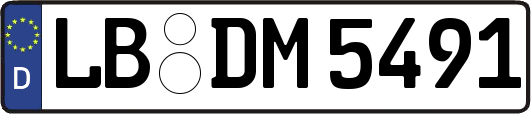 LB-DM5491