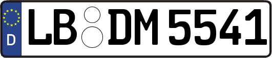 LB-DM5541