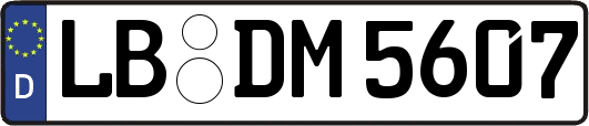 LB-DM5607