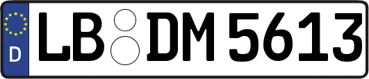 LB-DM5613