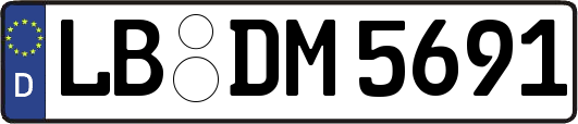 LB-DM5691