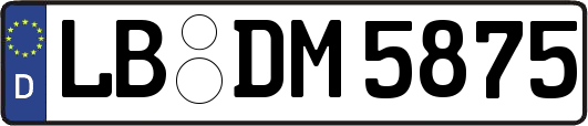 LB-DM5875