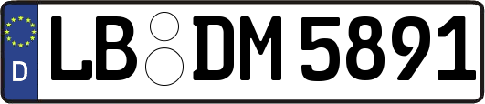 LB-DM5891