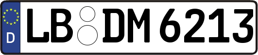 LB-DM6213