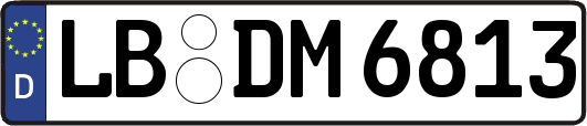 LB-DM6813