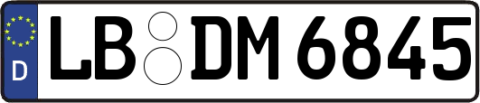 LB-DM6845