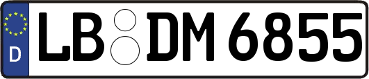 LB-DM6855