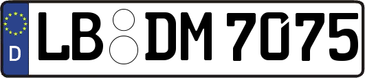 LB-DM7075