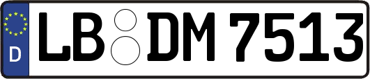 LB-DM7513