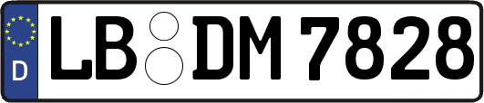 LB-DM7828