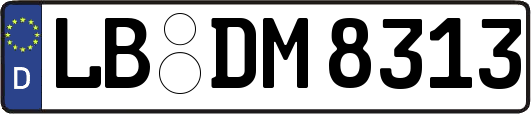 LB-DM8313