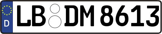 LB-DM8613