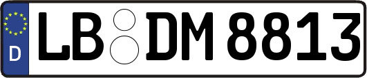 LB-DM8813