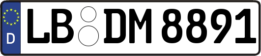 LB-DM8891