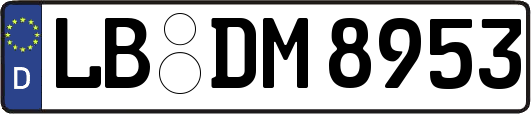 LB-DM8953