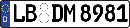 LB-DM8981