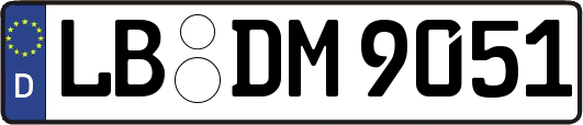 LB-DM9051