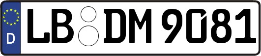 LB-DM9081