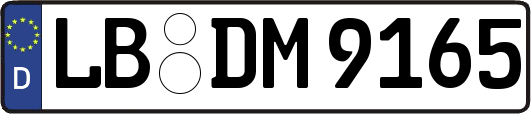LB-DM9165