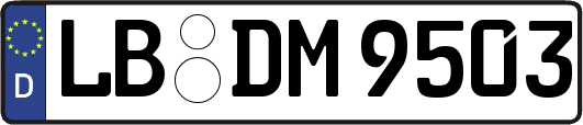 LB-DM9503