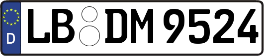 LB-DM9524