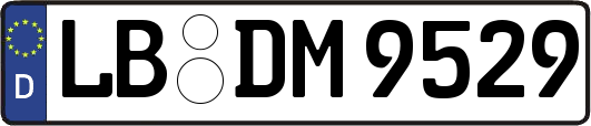 LB-DM9529