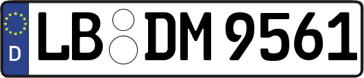 LB-DM9561