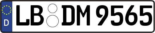 LB-DM9565