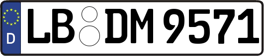 LB-DM9571