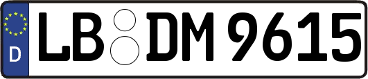 LB-DM9615