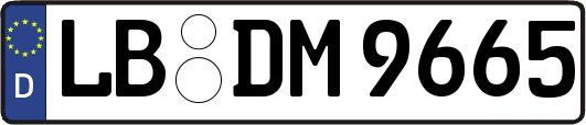LB-DM9665