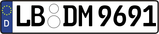 LB-DM9691